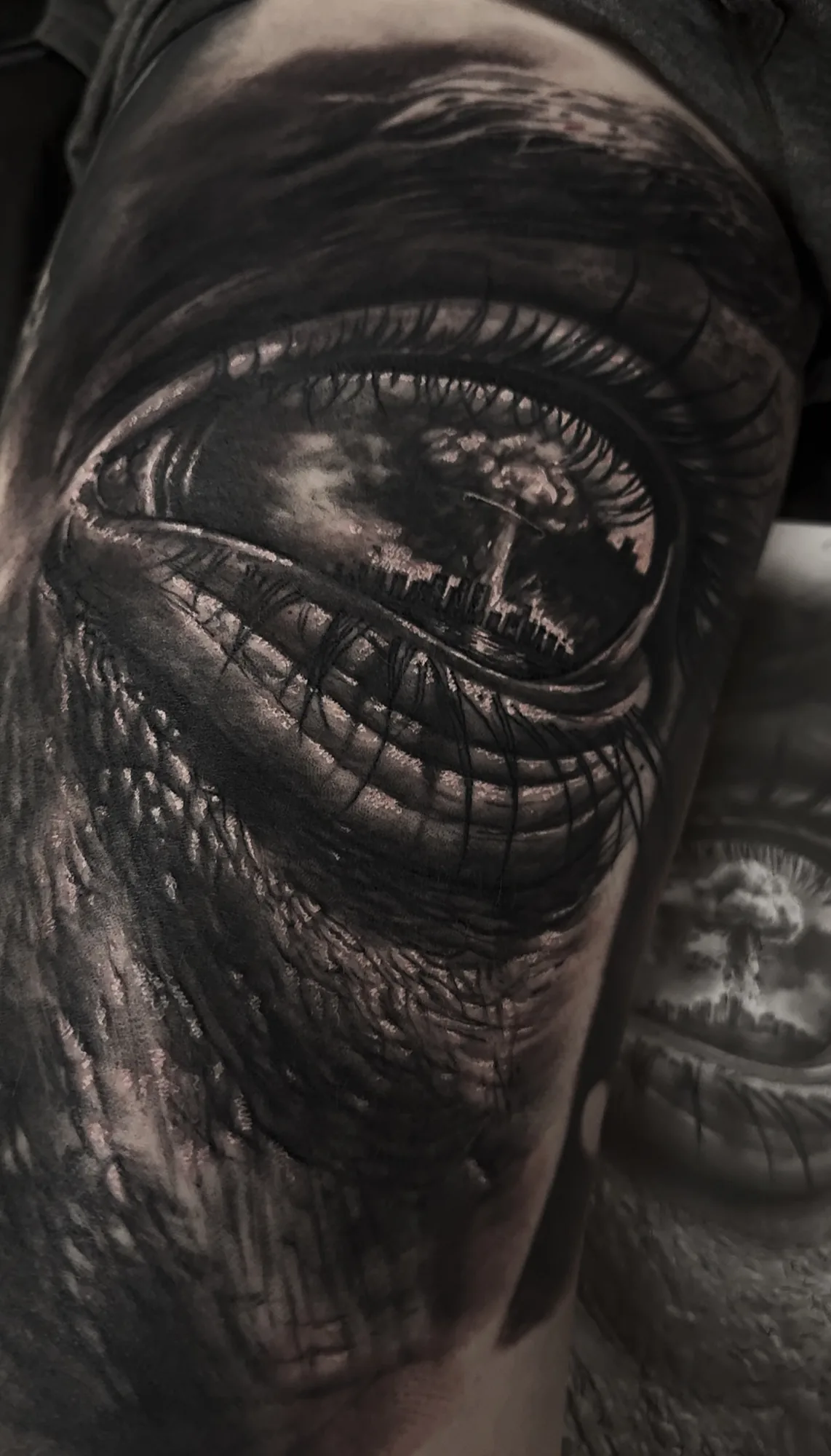 Black and grey realism eye with reflected landscape by JP Alfonso