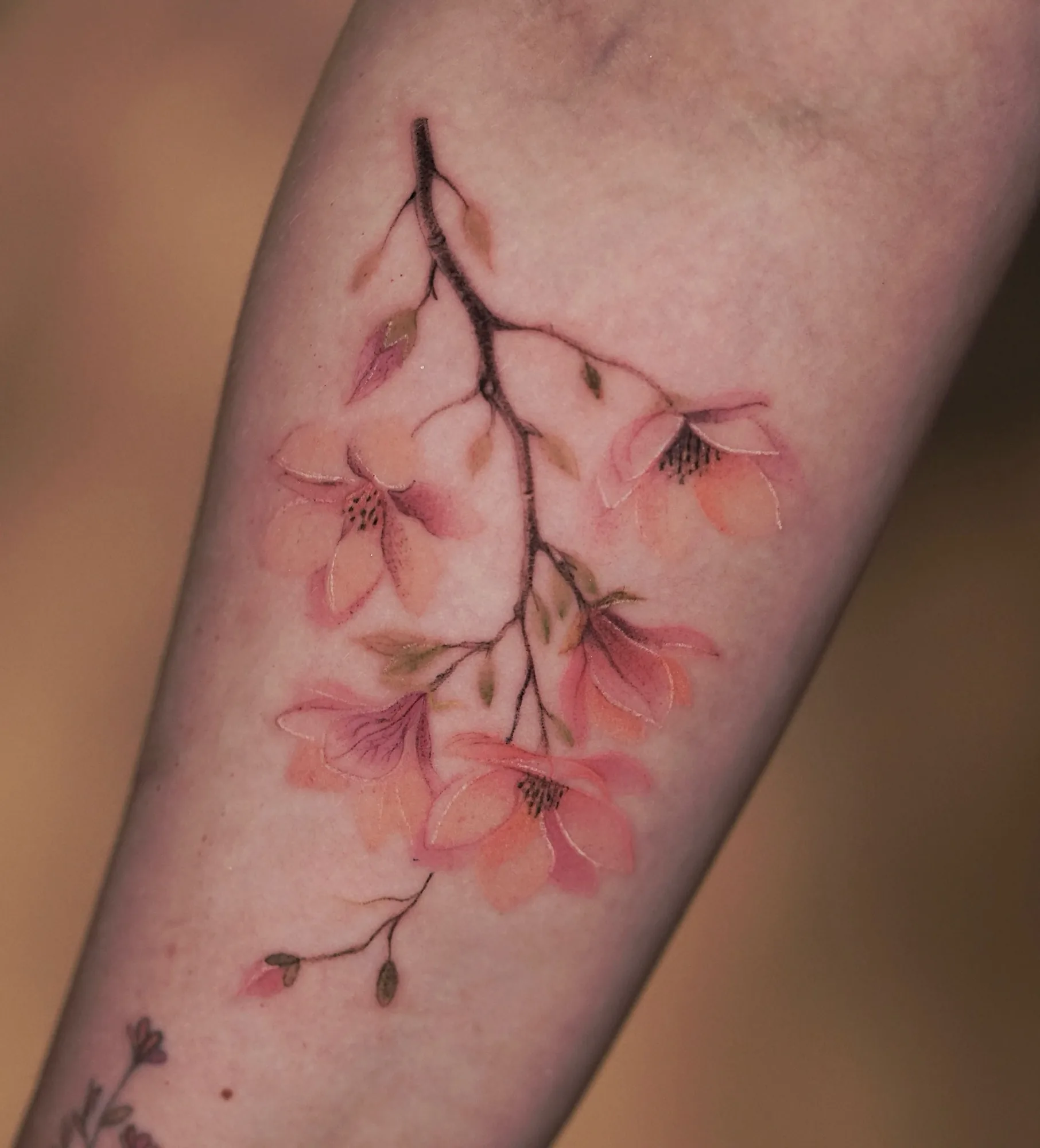 Watercolor cherry blossom branch forearm tattoo by Keisha Vo
